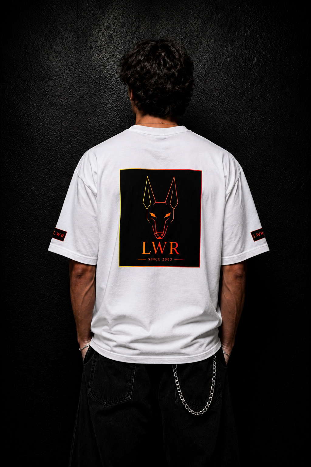 Anubis Fire Box Logo-6