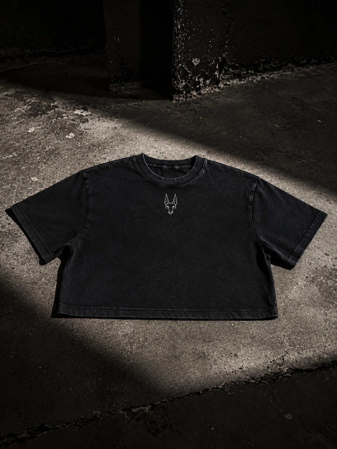 LWR Anubis Cropped Tee-2