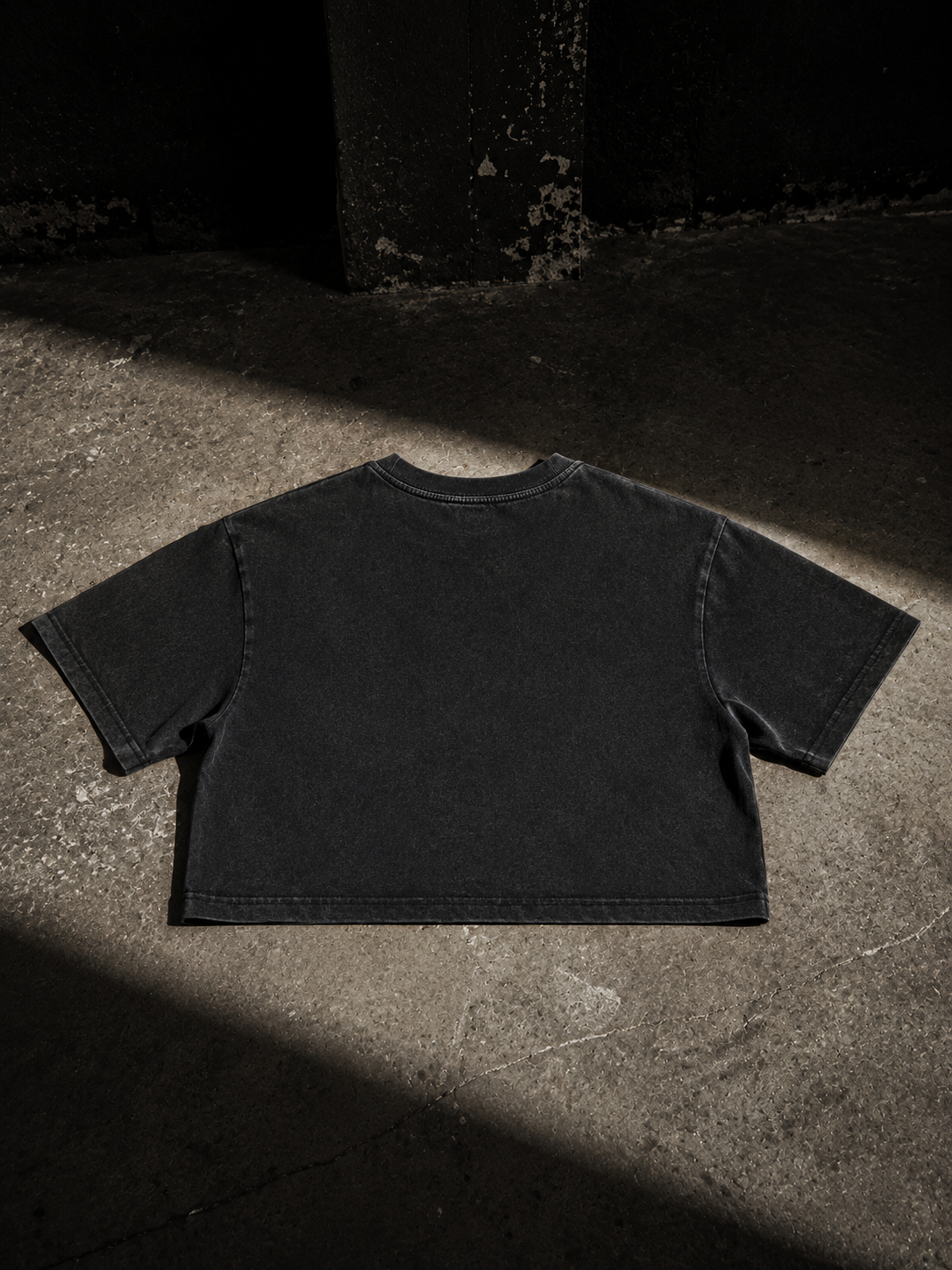 LWR Anubis Cropped Tee-3