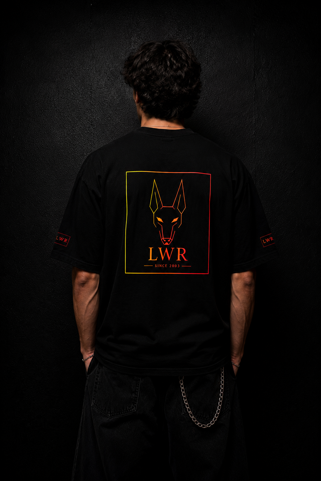 Anubis Fire Box Logo-2
