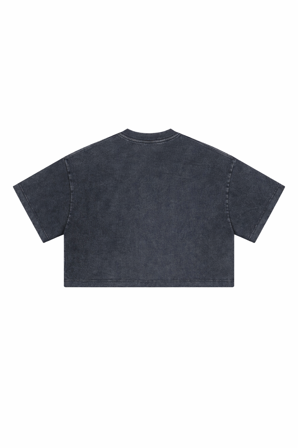 LWR Essential Heavyweight Cropped Tee-4